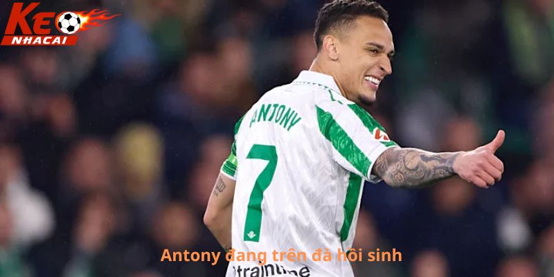 Antony đang trên đà hồi sinh 
